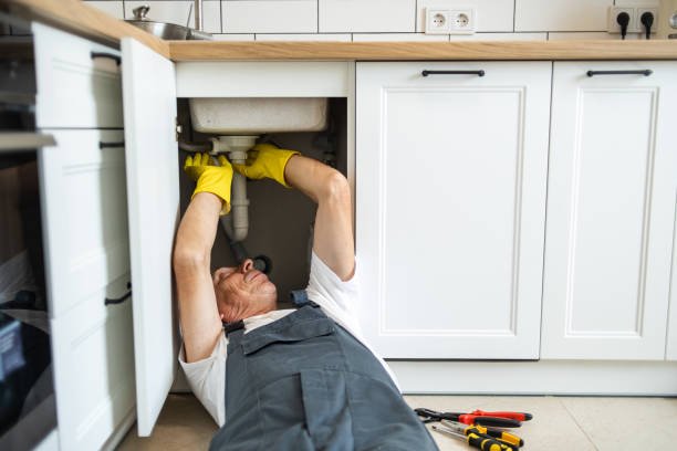 Best Affordable Plumbing Services  in North Vernon, IN